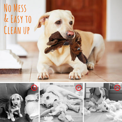 5Pcs Dog Squeaky Toys for Small Medium Dog, No Stuffing